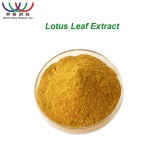 Cocoa Seed Extract Manufacturer - Pharmaceutical Grade Pure