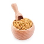 Monk Fruit Extract Supplier - Natural Sweetener Factory