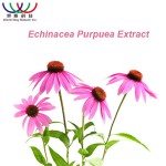 Reishi Spore Extract Manufacturer - Coffee Color Instant