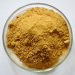 Angelica Extract Manufacturer - 10:1 Water Solvent Dong Quai