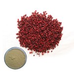 Schisandra Extract Factory - Berry Powder UV Tested