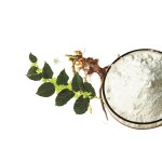 Resveratrol Powder Supplier - 50% 98% Trans-Resveratrol Bulk