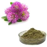 Red Clover Extract Supplier - 8%-40% Seeds P.E Bulk