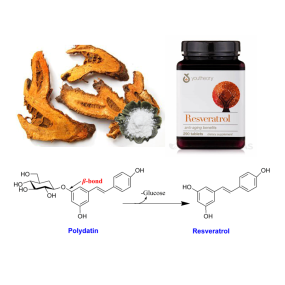 Giant Knotweed Extract Factory - 10:1 20:1 Root Powder Bulk