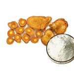 Giant Knotweed Extract Factory - 10:1 20:1 Root Powder Bulk