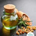 Boswellia Extract Factory - Boswellic Acid Joint Health