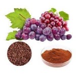 Grape Seed Extract Capsules Supplier - OPC Oligomeric Proanthocyanidins