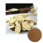 Echinacea Extract Manufacturer - Chicoric Acid Polyphenols