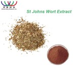 St Johns Wort Extract Supplier - 0.3% Hypericin Water Extract