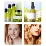 Rosemary Extract Powder Supplier - 25% Carnosic Rosmarinic Acid