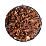 Dandelion Root Extract Supplier - Root Powder Factory Supply