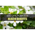Bacopa Extract Supplier - 50% Bacosides Monnieri Powder