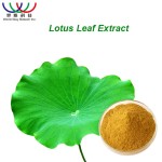 Grape Seed Extract Manufacturer - 95% OPC Anthocyanin Rich