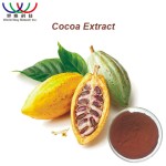 Garcinia Cambogia Extract Manufacturer - HCA Powder China