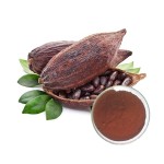 Cocoa Extract Powder Supplier - 100% Theobromine Raw Material