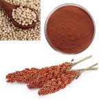 St Johns Wort Extract Supplier - Food Grade Hypericin