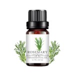 Rosemary Extract Factory - Food Grade Leaf Extract Natural