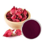 Stevia Extract Supplier - Organic Powder Sweetener Bulk