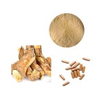 Maca Extract Powder Factory - Supplement Raw Material Bulk