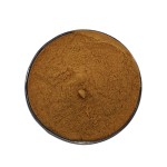 Miswak Extract Powder Manufacturer - Organic Pure Lower Price