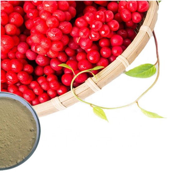 Schisandra Extract Factory - Berry Powder UV Tested