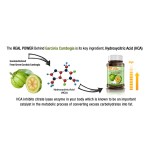 Soybean Extract Manufacturer - Phosphocholine PC Bag Pack