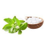 Stevia Leaf Extract Factory - 90%-98% Steviol Glycoside