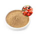 Herbal Extract Supplier - Bulk Price Custom Formulation