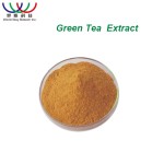 Green Tea Extract Factory - 98% Polyphenols 50% EGCG