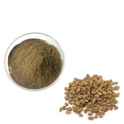 Monk Fruit Extract Supplier - Natural Sweetener Factory