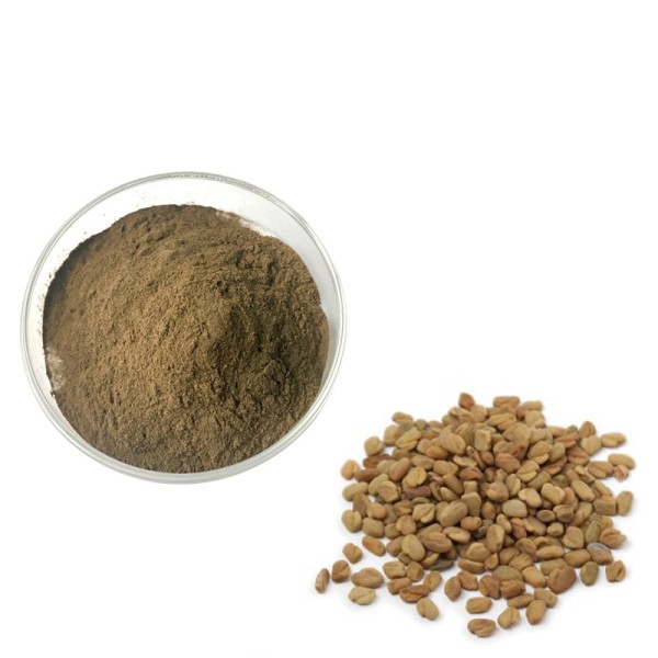 Monk Fruit Extract Supplier - Natural Sweetener Factory