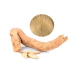 Tongkat Ali Extract Supplier - 2% Eurycomanone 100:1 200:1