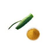 Grape Seed Extract Manufacturer - 95% OPC Anthocyanin Rich