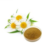 Chamomile Extract Supplier - Apigenin Flower Seeds Organic