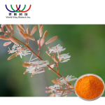 Macleaya Cordata Extract Manufacturer - 60% Sanguinarine Powder