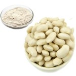 Tongkat Ali Extract Manufacturer - Eurycoma Longifolia Powder