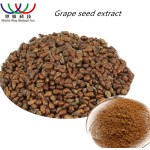 Grape Seed Extract Supplier - 95% OPC Anthocyanin Free Sample