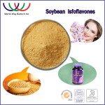 Garcinia Cambogia Extract Factory - HCA Fruit Powder White