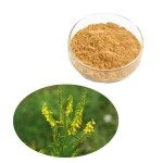 Grape Seed Extract Manufacturer - 95% OPC Anthocyanin Rich