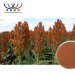 Procyanidin B2 Supplement Supplier - Plant Based Nutrient