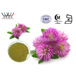 Red Clover Extract Supplier - 8%-40% Seeds P.E Bulk