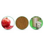 Pomegranate Peel Extract Supplier - 10:1 Powder Factory Supply