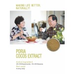 Cocoa Seed Extract Factory - Pure Plant Extract Supplement