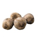 Poria Cocos Extract Supplier - 8%-30% Triterpene Polysaccharides