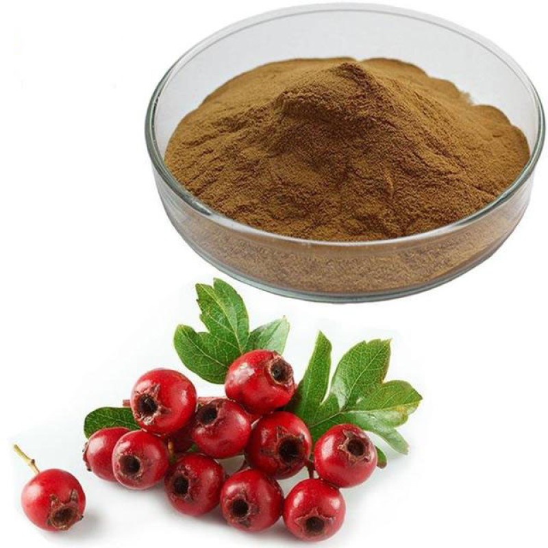 Hawthorn Extract Supplier - 5% Flavones Berry Powder