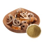 Mulberry Root Extract Factory - Flavones Mulberroside White