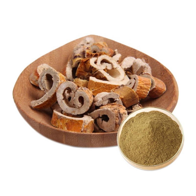 Mulberry Root Extract Factory - Flavones Mulberroside White