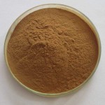 Hawthorn Extract Supplier - 5% Flavones Berry Powder