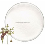 Poria Cocos Extract Supplier - 8%-30% Triterpene Polysaccharides