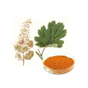Macleaya Cordata Extract Manufacturer - 60% Sanguinarine Powder